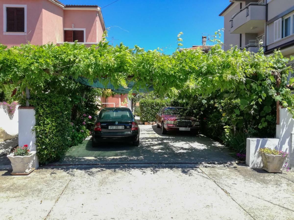 אומאג Apartment Sandra מראה חיצוני תמונה